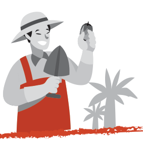 Icona con un agricoltore locale che raccoglie il cocco